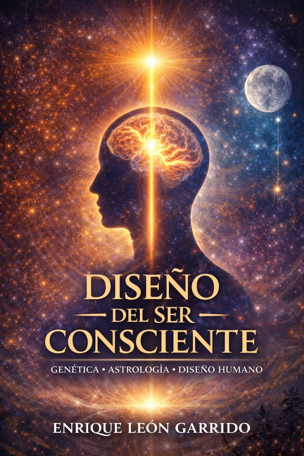 Diseño del Ser Consciente