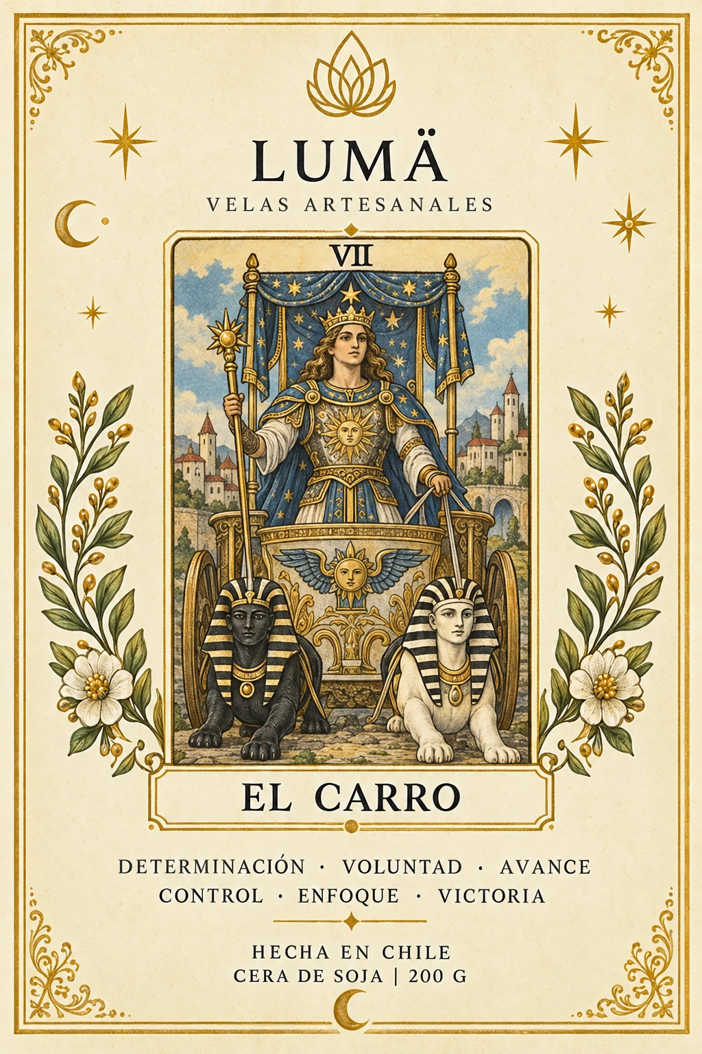 VII · El Carro